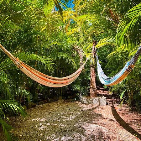 Glamping Hotel Flor Y Bambu Playa Grande Extérieur photo
