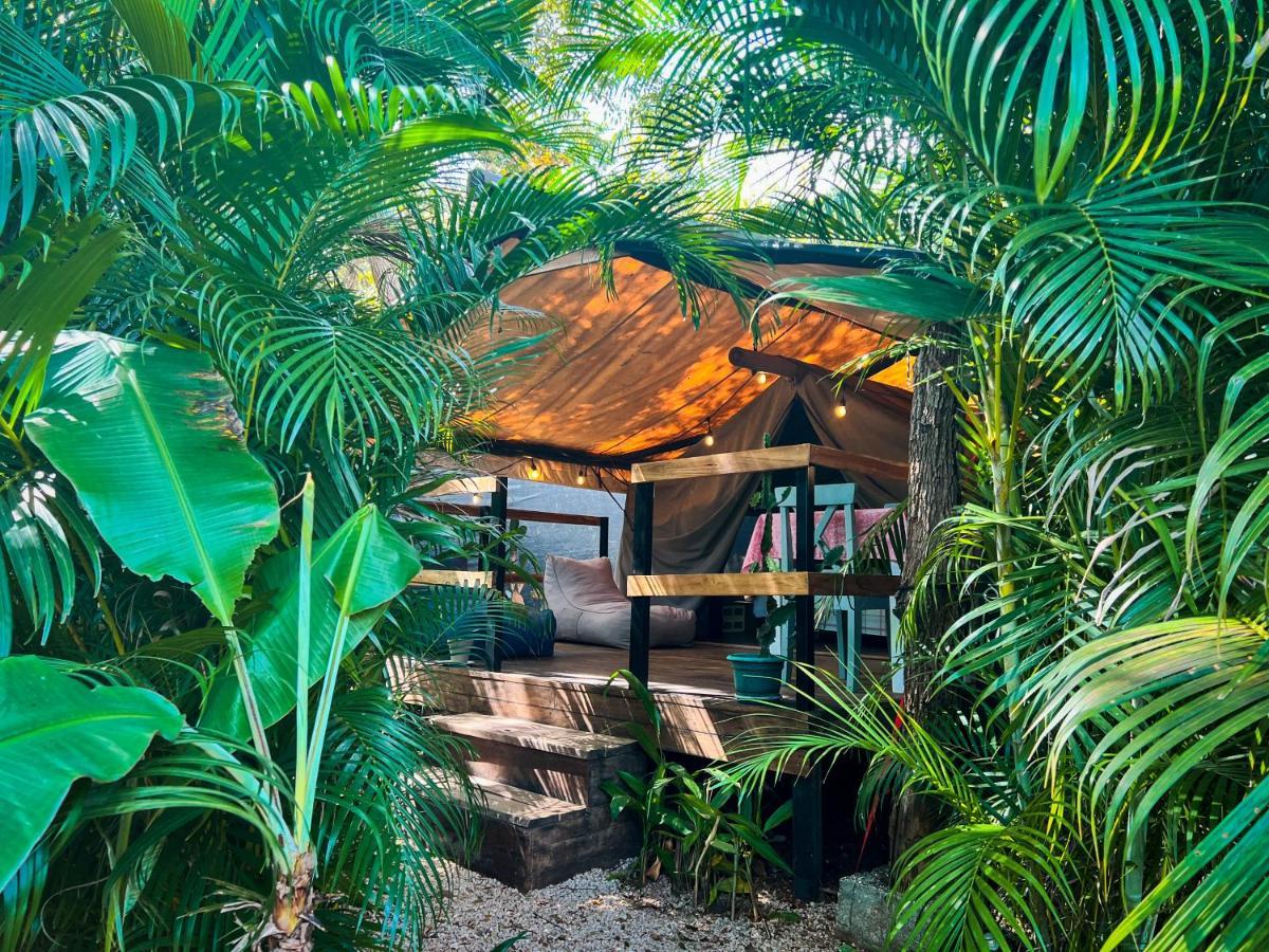 Glamping Hotel Flor Y Bambu Playa Grande Extérieur photo