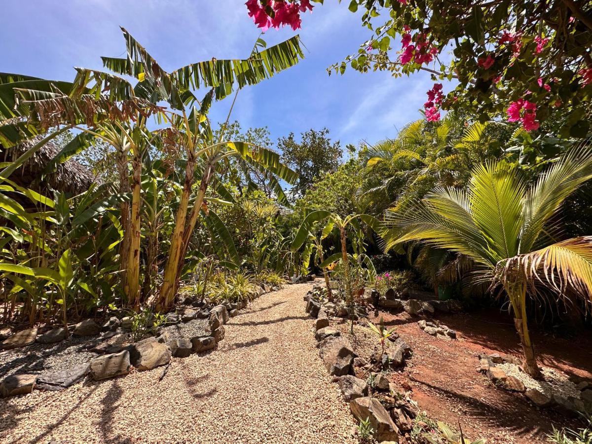 Glamping Hotel Flor Y Bambu Playa Grande Extérieur photo