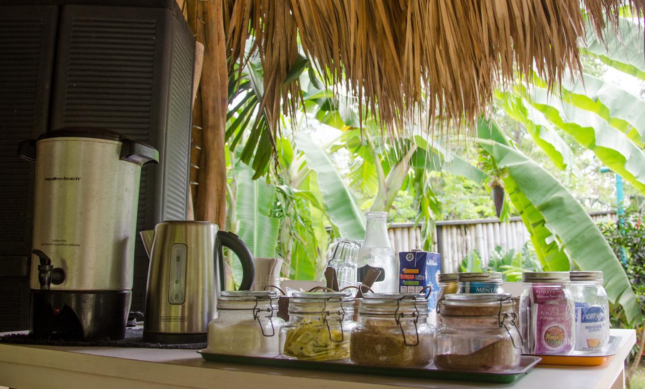 Glamping Hotel Flor Y Bambu Playa Grande Extérieur photo